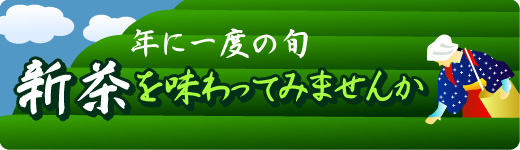 年に一度の旬 新茶を味わってみませんか?