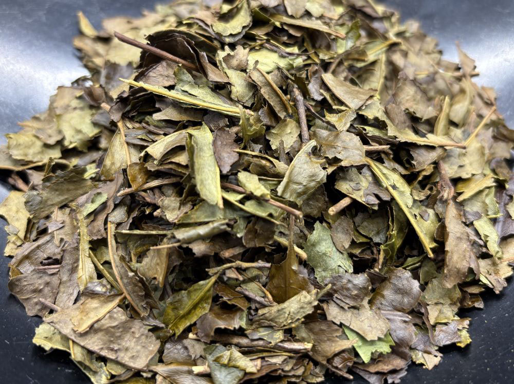 写真:問題のお茶の茶葉