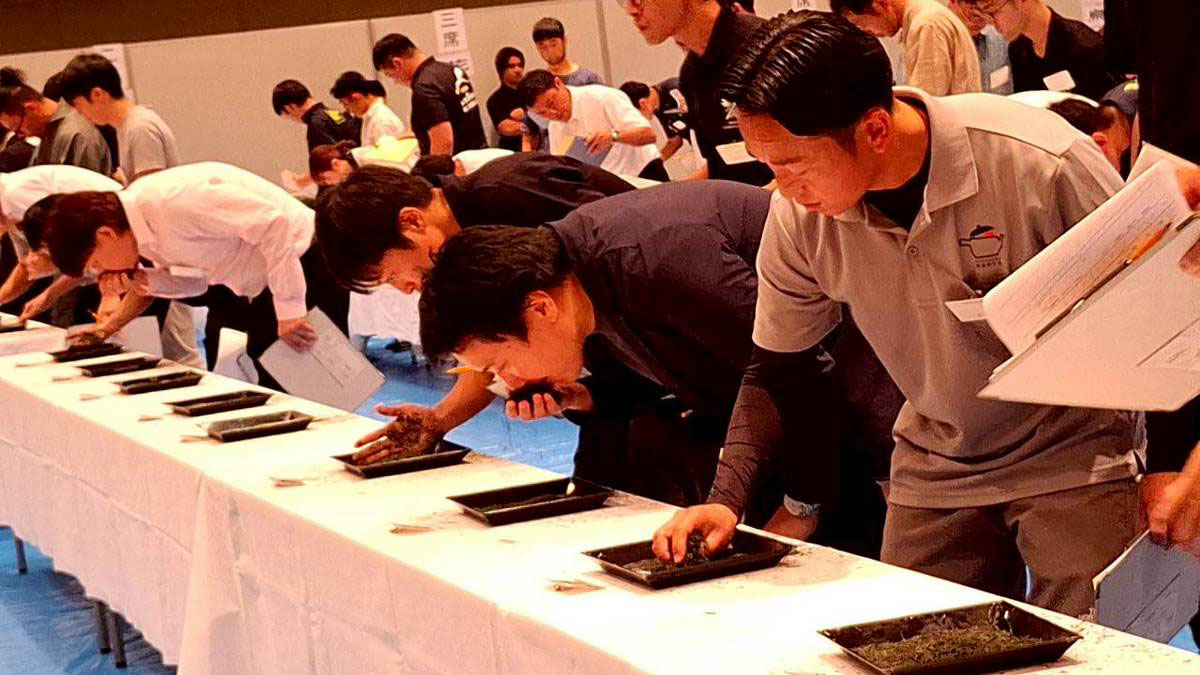 写真:利き茶をする様子